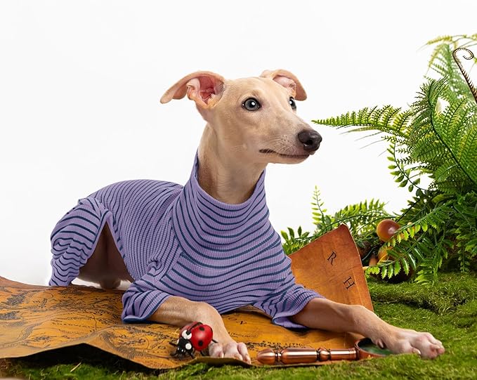 Dog Sweaters for Small Dogs Girls Boys, Striped Pet Sweaters for Fall Winter Dog Clothes, Turtleneck Pullover Knitwear for Small Medium Large Dogs