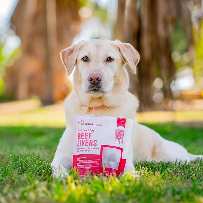 smallbatch Freeze Dried Dog Treats, Beef Liver Treats for Dogs & Cats, High Protein, Single Ingredient Dog Treat for Training or Food Topper, Natural, Humanely Sourced Meat, Made in The USA, 4 oz