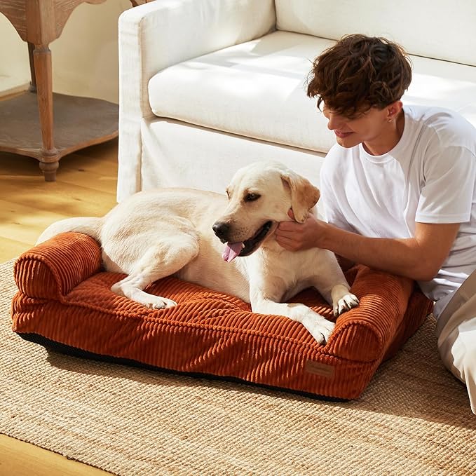 FUKUMARU Cute Dog Bed, Fluffy Dogs Couch with TPU Layer Keeping Lining Dry, Pet Sofa Medium Size Dog Easy to Care, Warm Cat Bed with Removable Zipper Cover, 36inch, Large, Orange