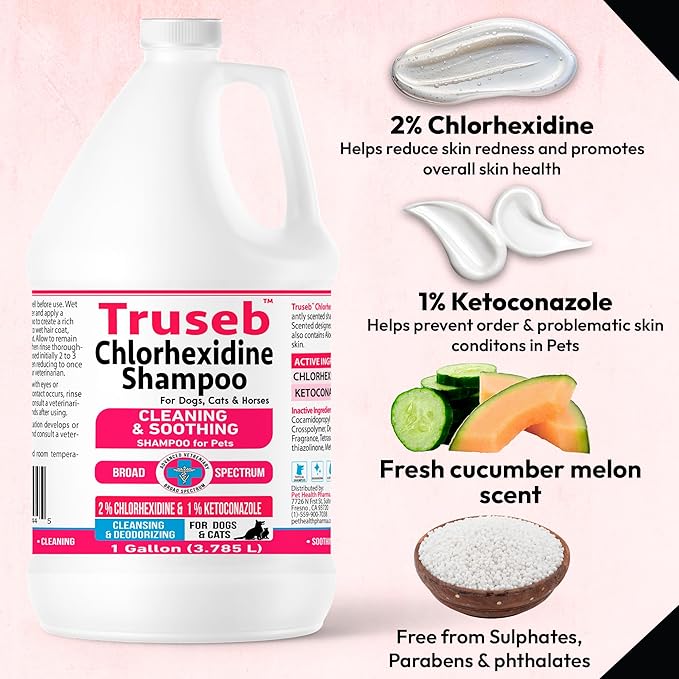 Truseb Topical Ketoconazole and Chlorhexidine Shampoo for Dogs, Cats & Horses Pleasantly Scented with a Cucumber Melon Scent with Aloe (Ketoconazole & Chlorhexidine Shampoo, 1 Gallon)