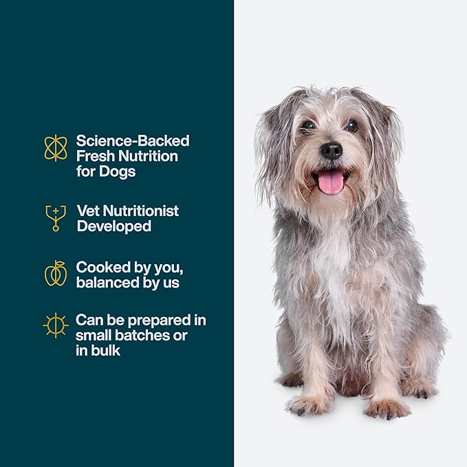 JustFoodForDogs DIY Nutrient Blend for Homemade Dog Food, Chicken & White Rice