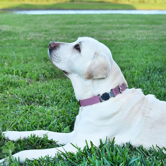 Dogline Biothane Waterproof Dog Collar with Herm Sprenger Stainless Steel Quick Release Buckle – Heavy Duty Tactical Durable Collar for Dogs – Comfortable and Safe Pet Collar, W 1" L 15-25", Amethyst