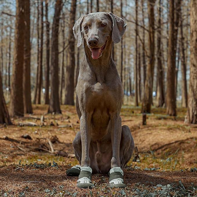 Dog Shoes Winter Snow Boots for Large Size Medium Dogs Reflective Anti-Slip Paw Protectors for Rain Booties Hot Pavement Hardwood Floors Running Water-Resistant Dog Shoes (Green, 4# (S))