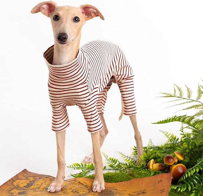 Dog Sweaters for Small Dogs Girls Boys, Striped Pet Sweaters for Fall Winter Dog Clothes, Turtleneck Pullover Knitwear for Small Medium Large Dogs