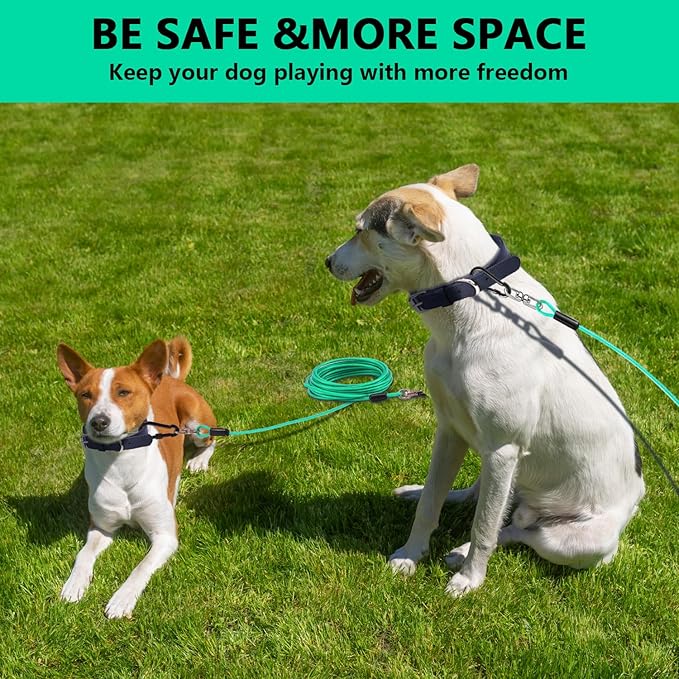 Dog Tie Out Cable 20FT-500Lbs,Heavy Duty Dog Leads&Tether for Yard with Swivel Hook,Small Large Dogs Leash Line for Outside,Rust Chew Proof Dogs Run Cable for Outdoor Camping (Green Cyan, 20FT)