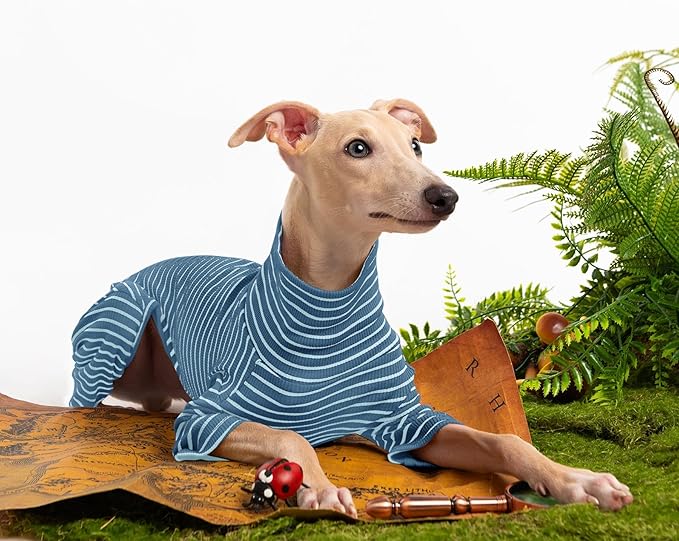 Dog Sweaters for Small Dogs Girls Boys, Striped Pet Sweaters for Fall Winter Dog Clothes, Turtleneck Pullover Knitwear for Small Medium Large Dogs