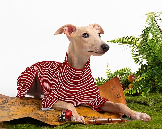 Dog Sweaters for Small Dogs Girls Boys, Striped Pet Sweaters for Fall Winter Dog Clothes, Turtleneck Pullover Knitwear for Small Medium Large Dogs