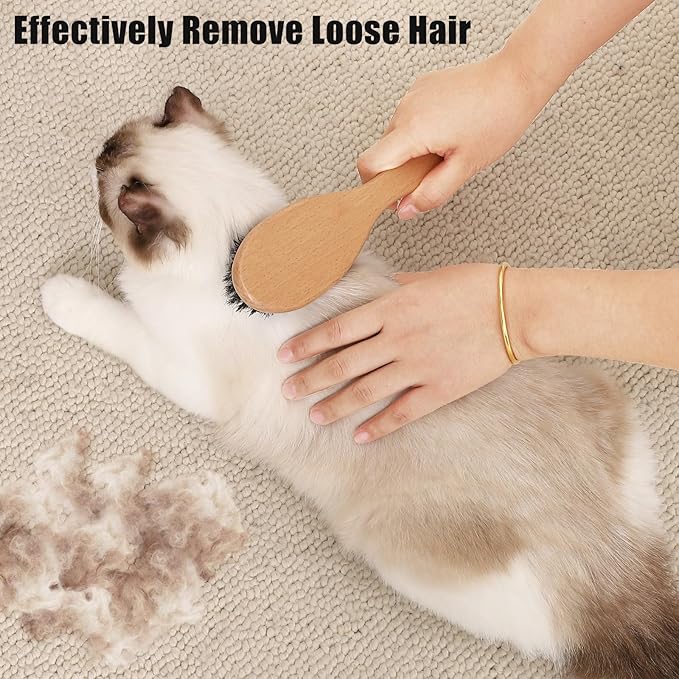 Boar Bristle Cat Brush with Wooden Handle, Soft and Gentle, Reduce Shedding, Make Coat Soft, Smooth and Shinny, Daily Grooming Tool for Short Haired Cats, Kitten
