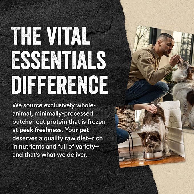 Vital Essentials Minnows Dog Treats, 1 oz | Freeze-Dried Raw | Single Ingredient | Premium Quality High Protein Training Treats | Grain Free, Gluten Free, Filler Free