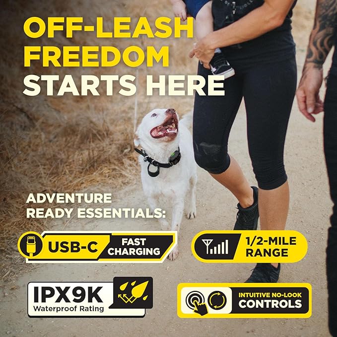 Dogtra 200iQ Remote Training E Collar – 100 Levels, Tone, Vibration, 1/2 Mile Range – Compact, Waterproof, One-Handed Control for Dogs 10 lbs+ – Lightweight Design for Daily Training – Lavender