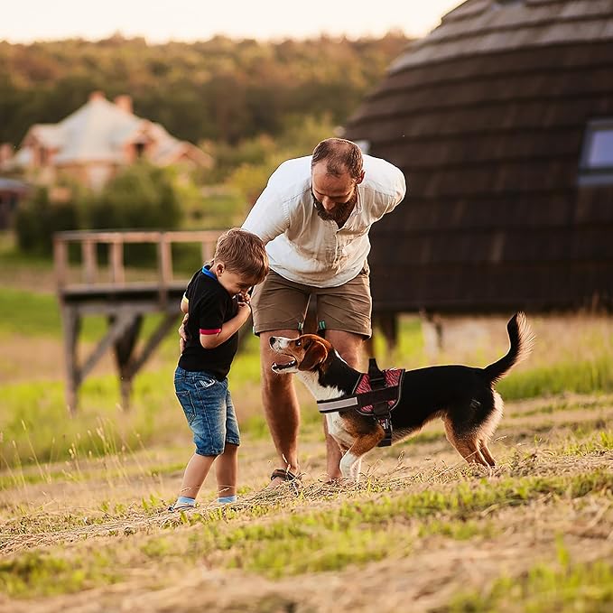 Dogline Dog Harness, Reflective No-Pull Adjustable Vest with Handle for Walking, Training, Breathable, No - Choke Harness for Small, Medium or Large Dogs Room for Patches Zebra Black/Red M 22"-28"