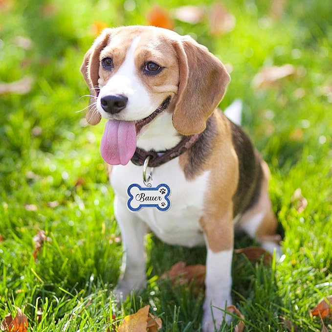 Dog Tags Personalized for Pets Dog Name Tags Personalized Dog Tag Engraved with Any Name & Text Custom Dog ID Tags Glitter Bone ID Tag for Puppy Cat (Silver L, Bone)