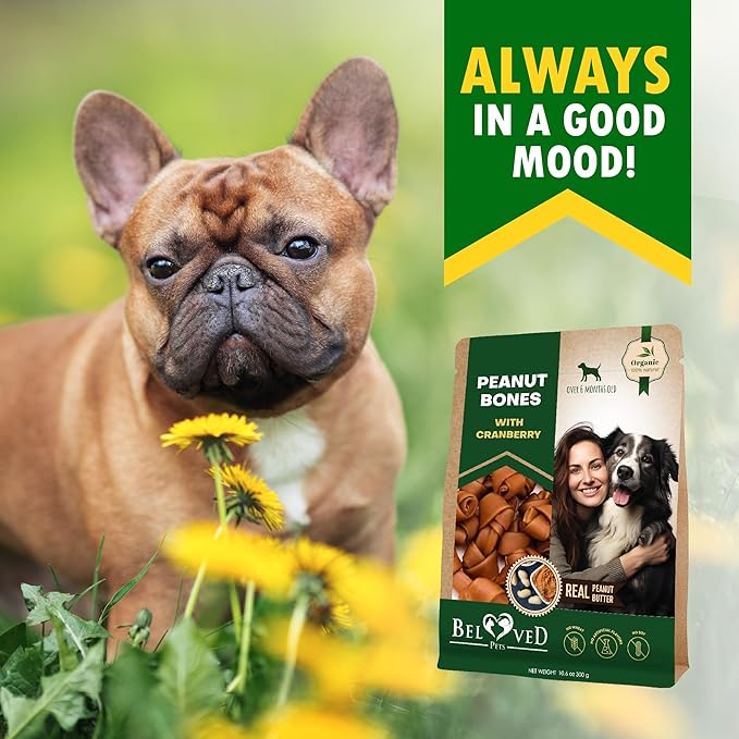 Dog Treats Peanut Butter Bones with Cranberry & Rawhide Free Chew 11 Oz - Pet Natural Mini & Big Snacks Healthy Collagen & Bulk Best Chews for Small & Large Dogs - Made for USA (Peanut Butter)