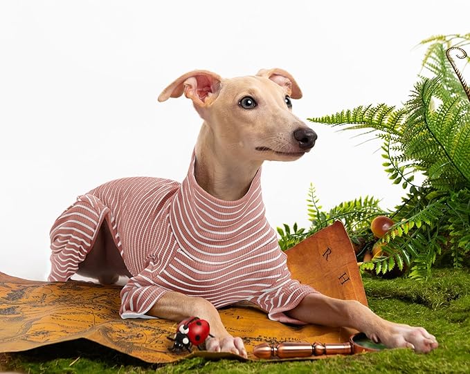 Dog Sweaters for Small Dogs Girls Boys, Striped Pet Sweaters for Fall Winter Dog Clothes, Turtleneck Pullover Knitwear for Small Medium Large Dogs