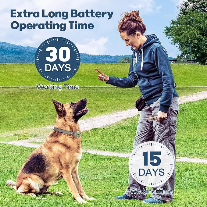 Dog Shock Collar, Dog Training Collar with Remote 2600FT, IPX7 Waterproof Rechargeable E-Collar, 3 Training Modes for All Breeds 10-120lbs (Gold)