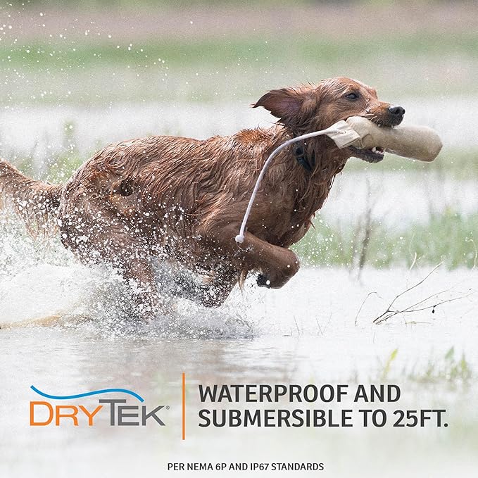 SportDOG Brand NoBark SBC-8 Bark Control Collar - Static Collar with Progressive Correction - Waterproof - Static Stimulation - Dogs 8 lbs & up