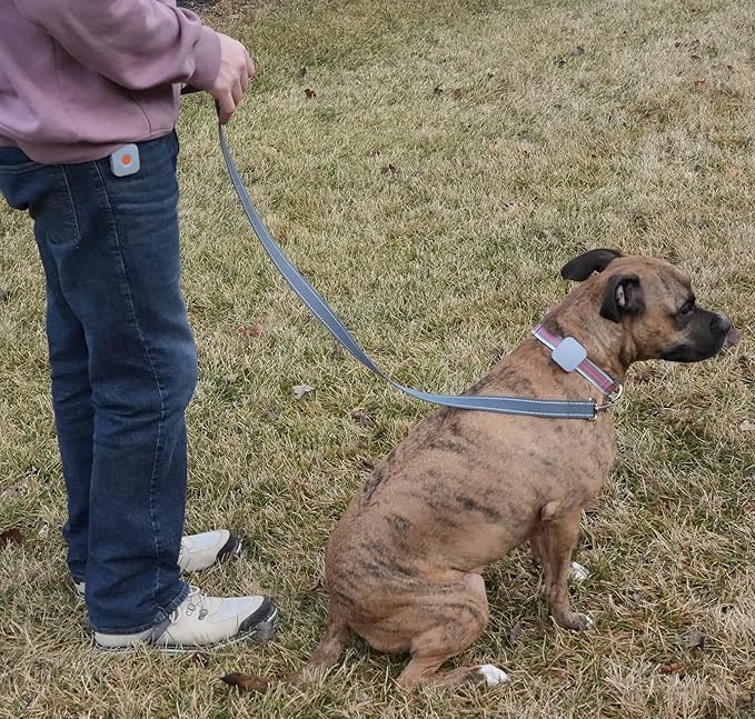 Dog Training Device - The Original Kona Clip Designed in The USA Vibration Correction with Remote Controller Small, Medium, Large Dogs Leash Training, Waterproof, Rechargeable