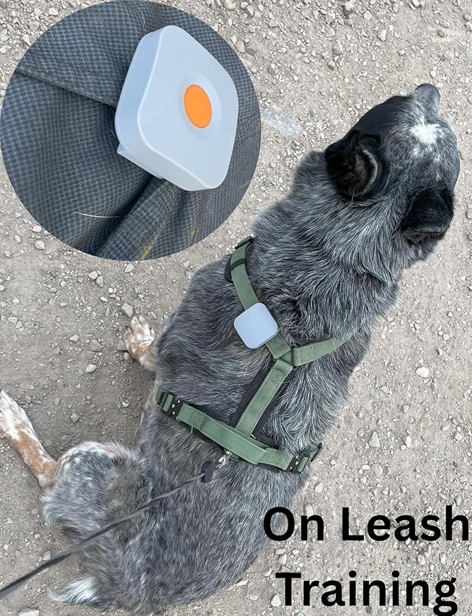 Dog Training Device - The Original Kona Clip Designed in The USA Vibration Correction with Remote Controller Small, Medium, Large Dogs Leash Training, Waterproof, Rechargeable