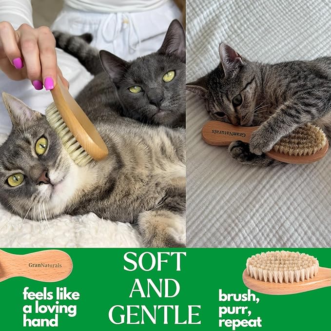 GranNaturals Boar Bristle Soft Cat Brush for Indoor, Outdoor, Short Haired Cats, Kittens, Small Dog, Rabbit, Furry Pets - Gentle Grooming on Sensitive Hair Coat & Tail with Durable Wooden Handle
