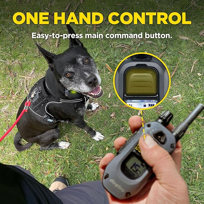 Dogtra 280X 2-Dogs E-Collar with Remote [New Edition] 10 lbs+, 1/2 Mile Range, LED Light, 100 Levels of Control for Stubborn Dogs, Waterproof, Boost for Quick Recall, Vibration, Safety Lock & Tone
