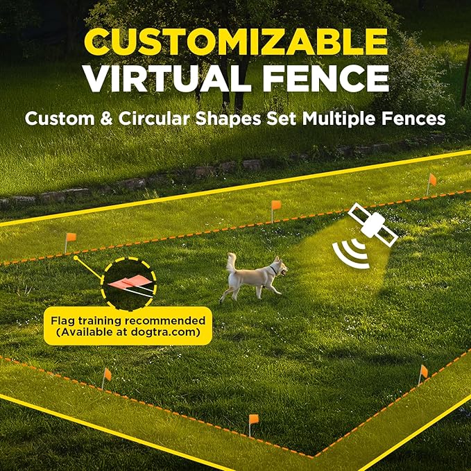 Dogtra Training Flags for GPS Fence – 50-Pack Neon Orange Boundary Markers – Flexible, Weather-Resistant Yard Flags for Invisible Fence Training, Pet Containment, and Safe Outdoor Dog Fence Setup