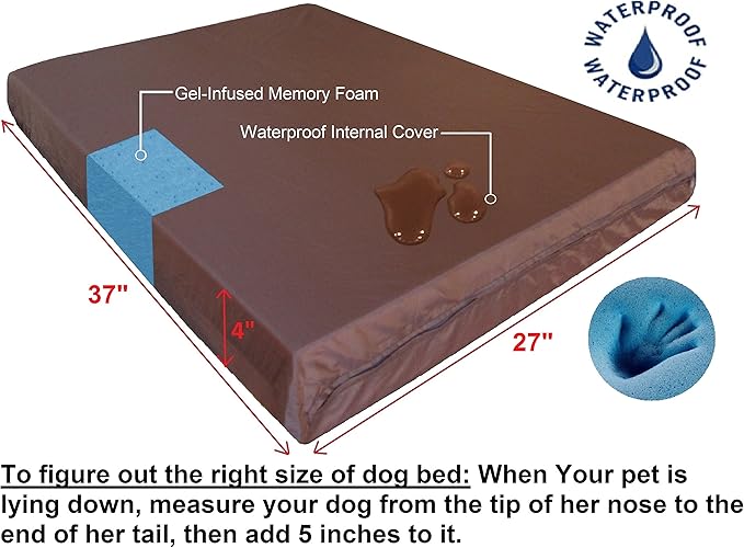 Dogbed4less Orthopedic Memory Foam Dog Bed for Medium Dogs with Washable Denim Cover, Waterproof Liner and Extra Pet Bed Case, 37X27X4 Inch, Brown