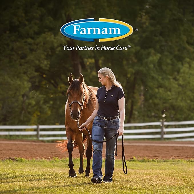 Farnam Endure Roll-On Fly Repellent for Horses, for Sensitive Areas, 3 Ounces