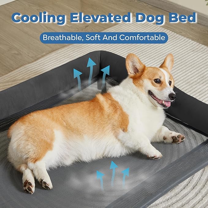 Easy Assemble Elevated Dog Bed - Cooling Outdoor Cot with Bolster, Washable Raised Bed with Durable Breathable Teslin Mesh, Non-Slip Feet - Deep Grey, M