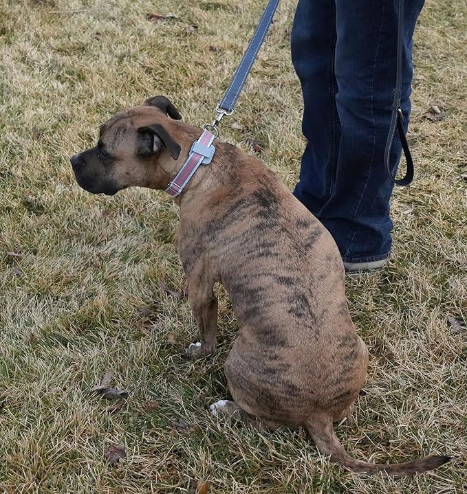 Dog Training Device - The Original Kona Clip Designed in The USA Vibration Correction with Remote Controller Small, Medium, Large Dogs Leash Training, Waterproof, Rechargeable