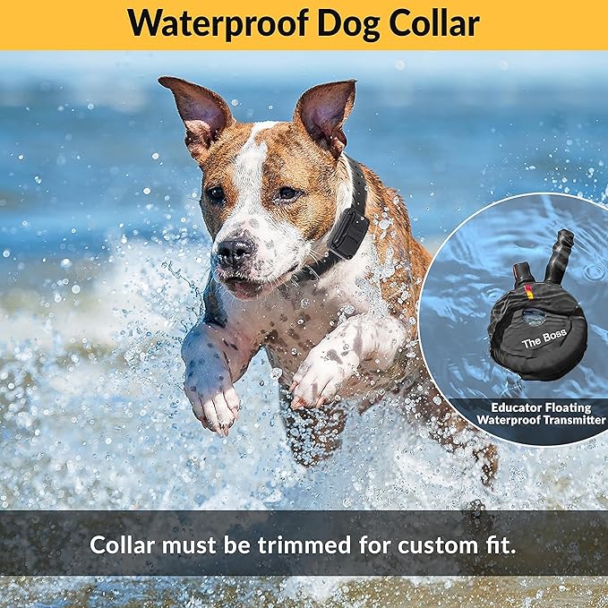 Educator E-Collar Humane Dog Training Collar with Remote, Features 100 Levels of Safe Stimulation, Tapping Sensation, Night Light, Waterproof, Rechargeable, 1 Mile 1 Dog, Black