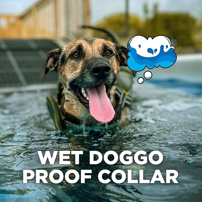 Dogtra CUE Green – E-Collar for Dogs Training Collar with Remote – Training Made Easy for Everyday Dog Owners – Gentle Vibration, Custom Boost, Waterproof, Rechargeable, 400-Yard Range System