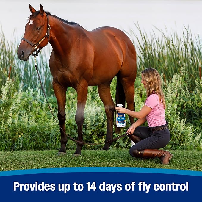 Farnam Endure Sweat-Resistant Fly Spray for Horses, Lasts Up to 14 Days, Protects Against Flies, Gnats, Mosquitoes, Ticks & Lice, 128 oz.